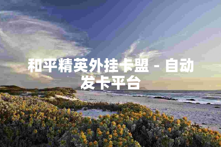和平精英外挂卡盟 - 自动发卡平台