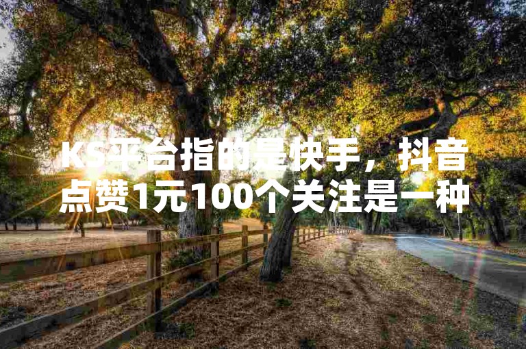 KS平台指的是快手，抖音点赞1元100个关注是一种违规行为，拼多多砍价下单平台是帮助用户以更低价格购买商品的服务，而快手11万粉丝的收入取决于多种因素。