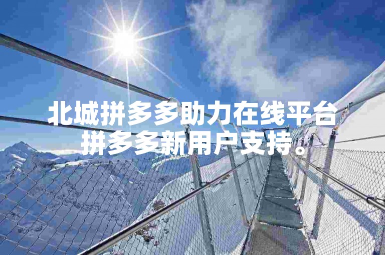 北城拼多多助力在线平台拼多多新用户支持。