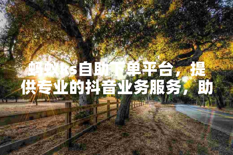蚂蚁ks自助下单平台，提供专业的抖音业务服务，助力您的账号快速涨赞。