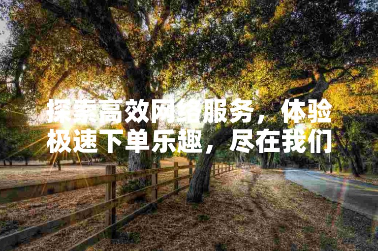 探索高效网络服务，体验极速下单乐趣，尽在我们的多功能自助平台。