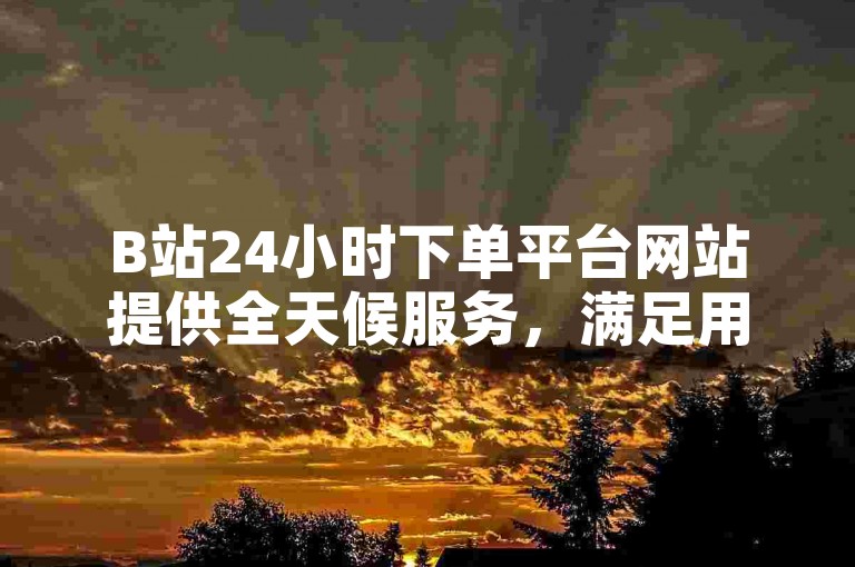 B站24小时下单平台网站提供全天候服务，满足用户随时下单的需求。
