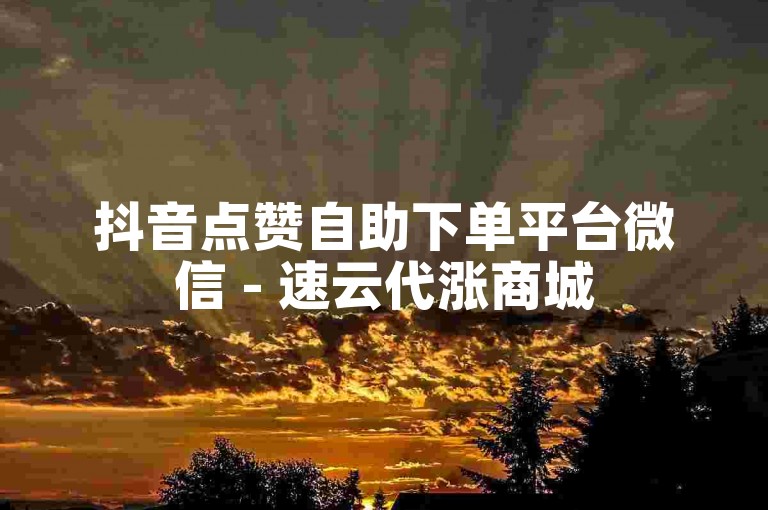 抖音点赞自助下单平台微信 - 速云代涨商城