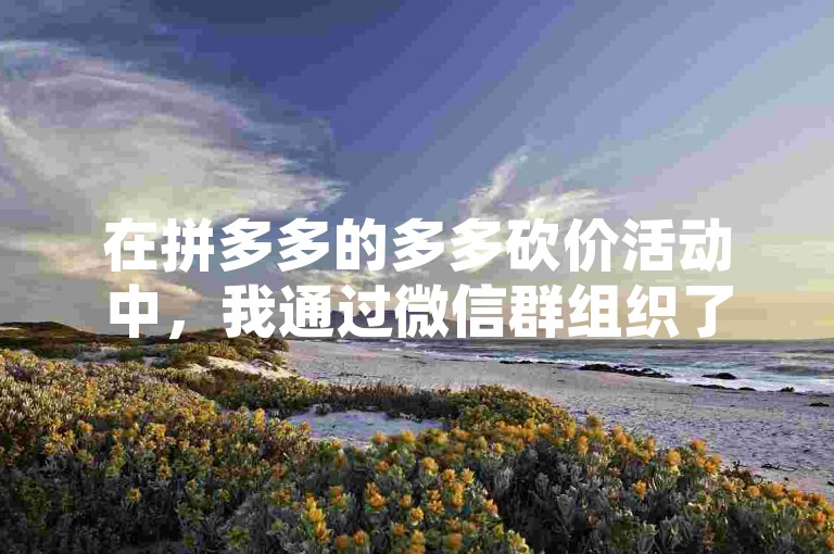 在拼多多的多多砍价活动中，我通过微信群组织了一次互助，大家齐心协力帮忙助力，最终免费拿到了心仪的商品。