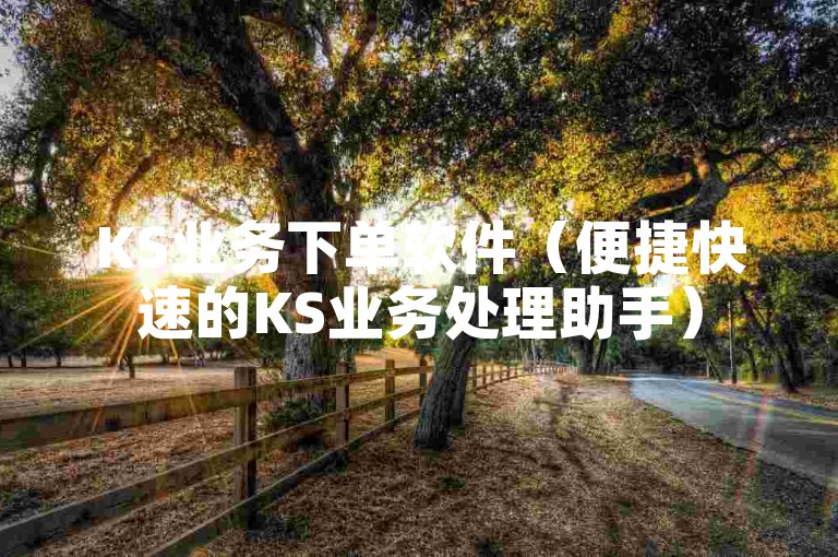 KS业务下单软件（便捷快速的KS业务处理助手）
