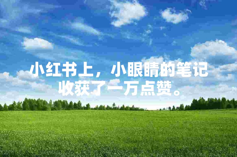 小红书上，小眼睛的笔记收获了一万点赞。
