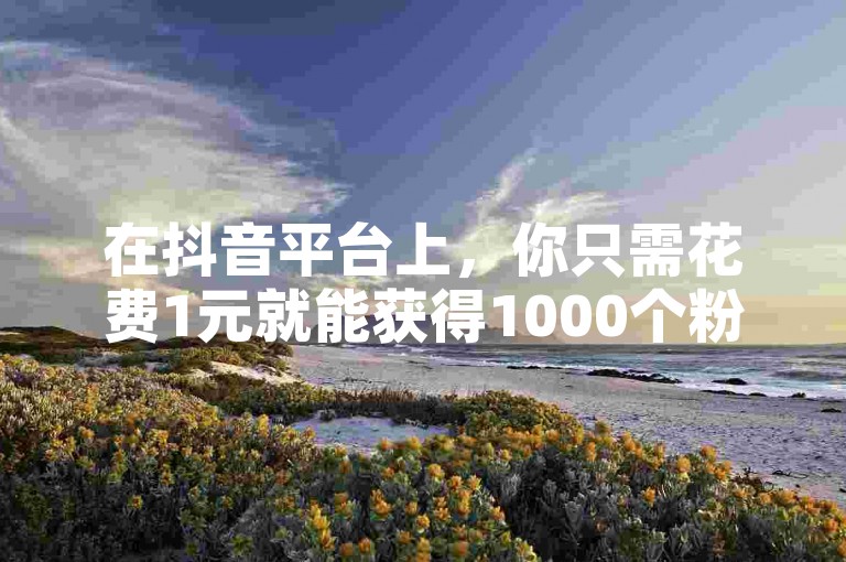 在抖音平台上，你只需花费1元就能获得1000个粉丝。