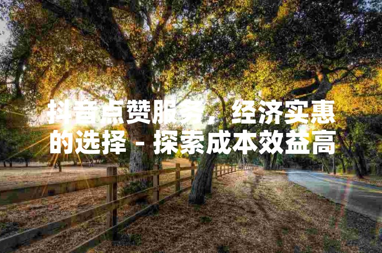 抖音点赞服务，经济实惠的选择 - 探索成本效益高的自助下单系统。