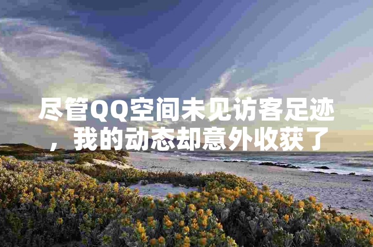 尽管QQ空间未见访客足迹，我的动态却意外收获了浏览量。