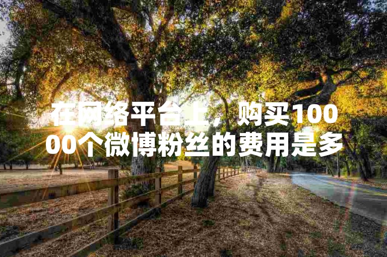 在网络平台上，购买10000个微博粉丝的费用是多少？同时，快手上提供一元钱可以换取100个点赞和双击的服务。