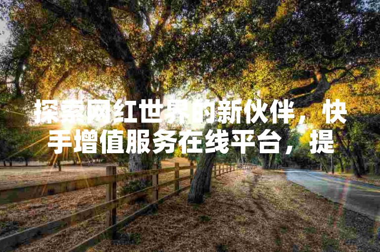 探索网红世界的新伙伴，快手增值服务在线平台，提供全天候的微信支付下单体验 - 发现快手互动自助工具，让微小的利润也能带来疯狂的增长！