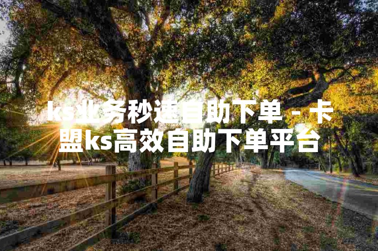 ks业务秒速自助下单 - 卡盟ks高效自助下单平台