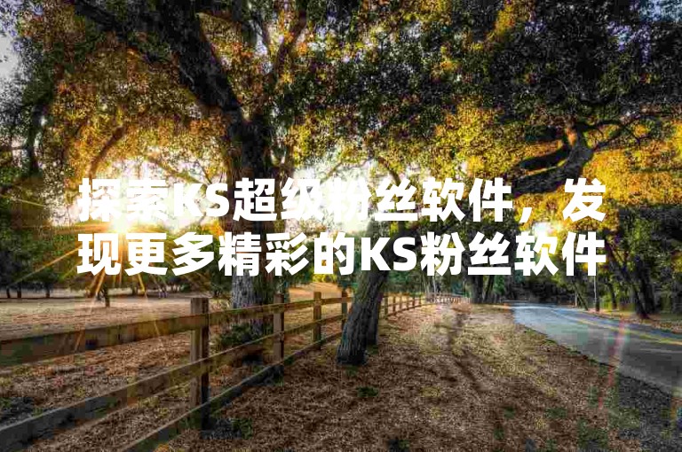 探索KS超级粉丝软件，发现更多精彩的KS粉丝软件精选集锦。