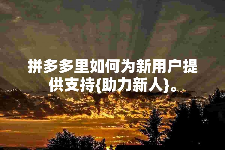 拼多多里如何为新用户提供支持{助力新人}。