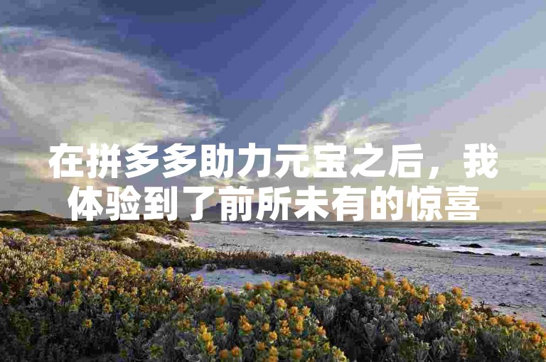 在拼多多助力元宝之后，我体验到了前所未有的惊喜与挑战。