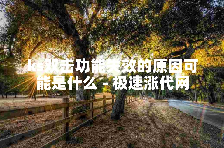 ks双击功能失效的原因可能是什么 - 极速涨代网