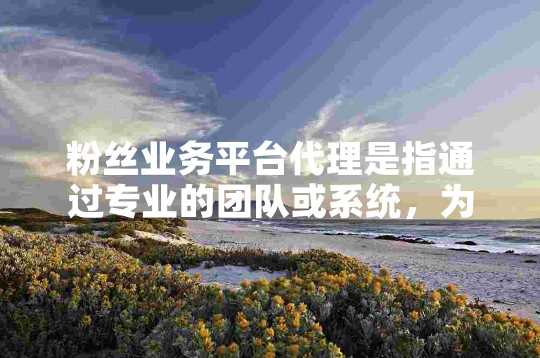 粉丝业务平台代理是指通过专业的团队或系统，为用户提供快速、安全地增加社交媒体关注度的服务。