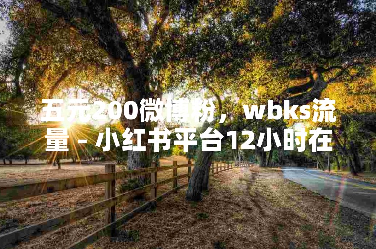 五元200微博粉，wbks流量 - 小红书平台12小时在线 - 粉丝怎样迅速涨到两万独家揭秘。