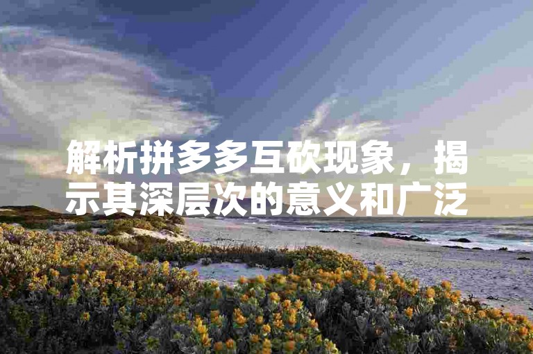 解析拼多多互砍现象，揭示其深层次的意义和广泛影响。