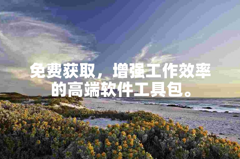 免费获取，增强工作效率的高端软件工具包。