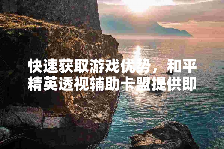 快速获取游戏优势，和平精英透视辅助卡盟提供即时自助下单服务。