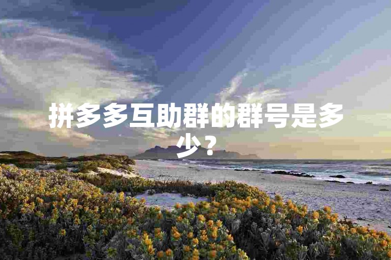拼多多互助群的群号是多少？