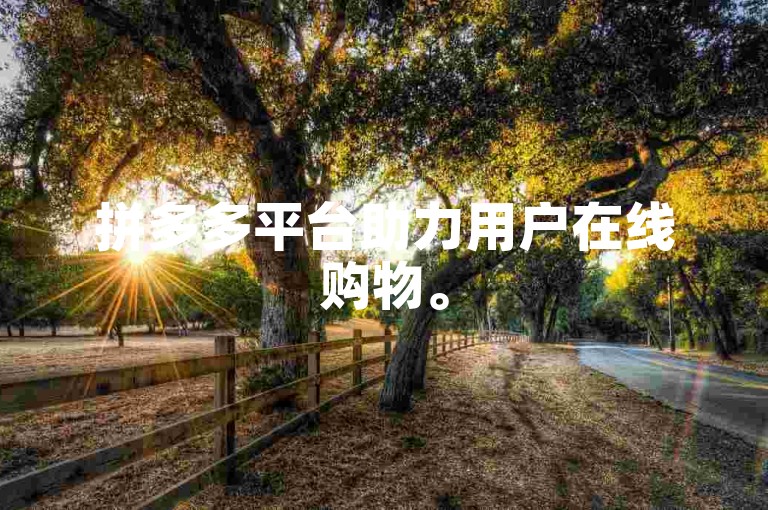 拼多多平台助力用户在线购物。