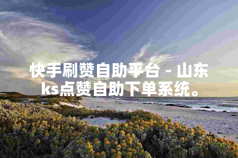 快手刷赞自助平台 - 山东ks点赞自助下单系统。