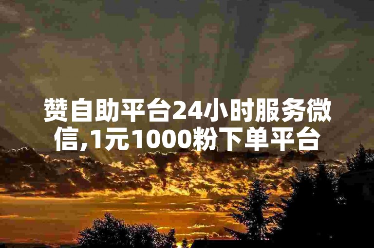 赞自助平台24小时服务微信,1元1000粉下单平台