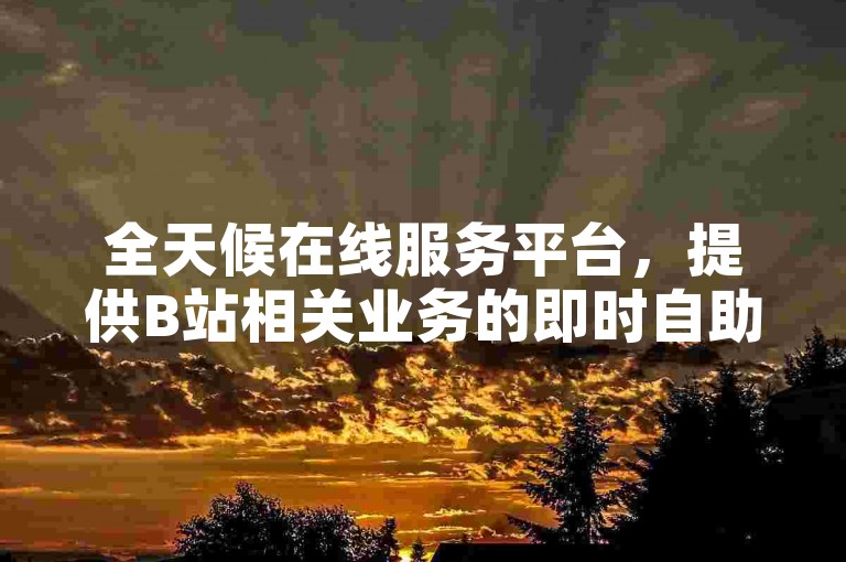 全天候在线服务平台，提供B站相关业务的即时自助下单功能。