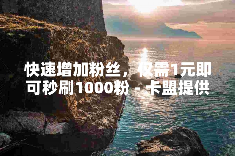 快速增加粉丝，仅需1元即可秒刷1000粉 - 卡盟提供全天候自助下单服务。