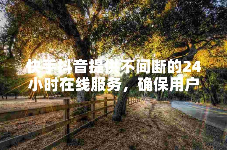 快手抖音提供不间断的24小时在线服务，确保用户全天候都能获得支持。