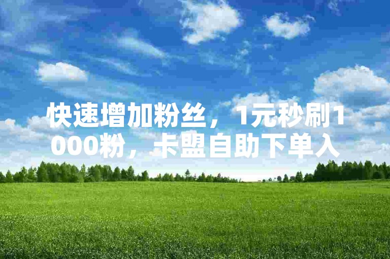 快速增加粉丝，1元秒刷1000粉，卡盟自助下单入口等你来体验。
