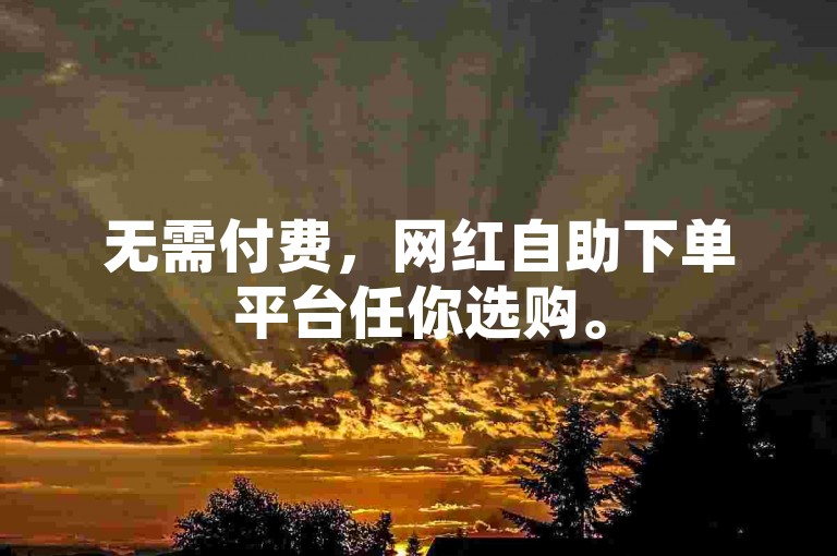 无需付费，网红自助下单平台任你选购。