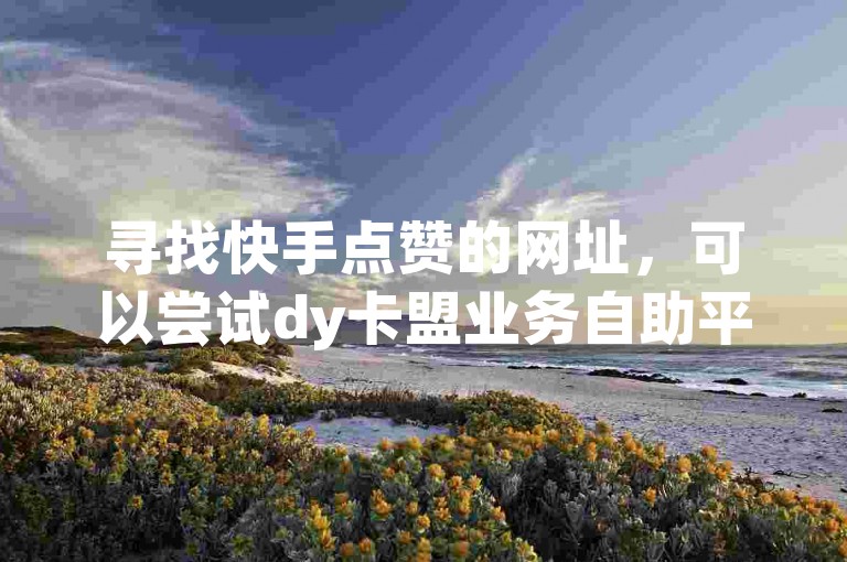 寻找快手点赞的网址，可以尝试dy卡盟业务自助平台，这是一个提供24小时快手业务自助服务的平台，其中包括一元100个赞的服务。