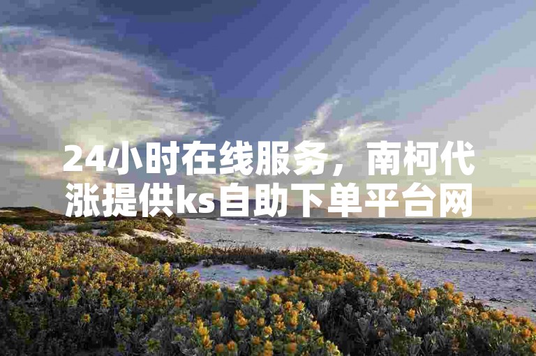 24小时在线服务，南柯代涨提供ks自助下单平台网站下载。