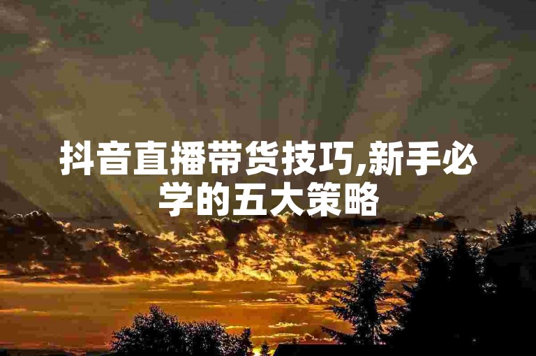 抖音直播带货技巧,新手必学的五大策略