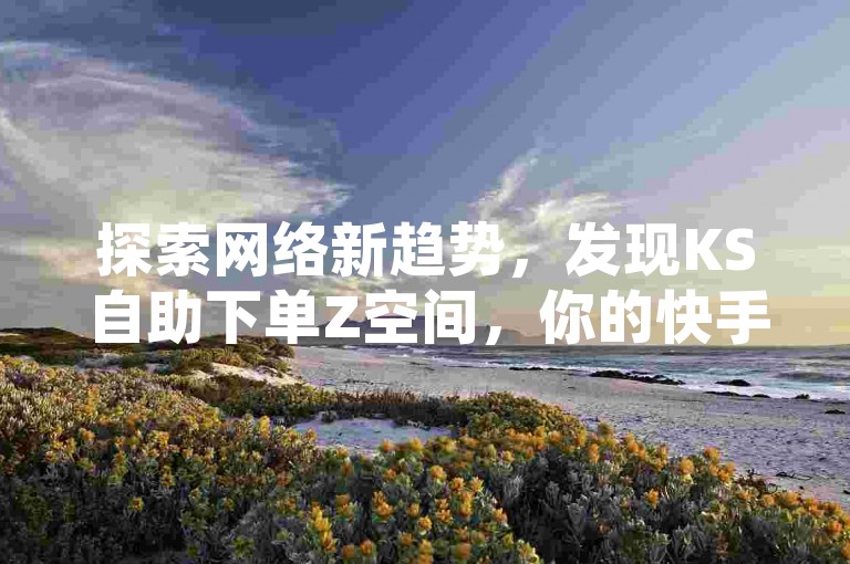 探索网络新趋势，发现KS自助下单Z空间，你的快手之旅更精彩。
