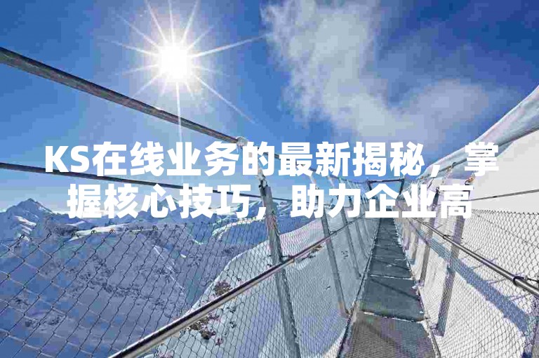 KS在线业务的最新揭秘，掌握核心技巧，助力企业高效腾飞！2024必学。