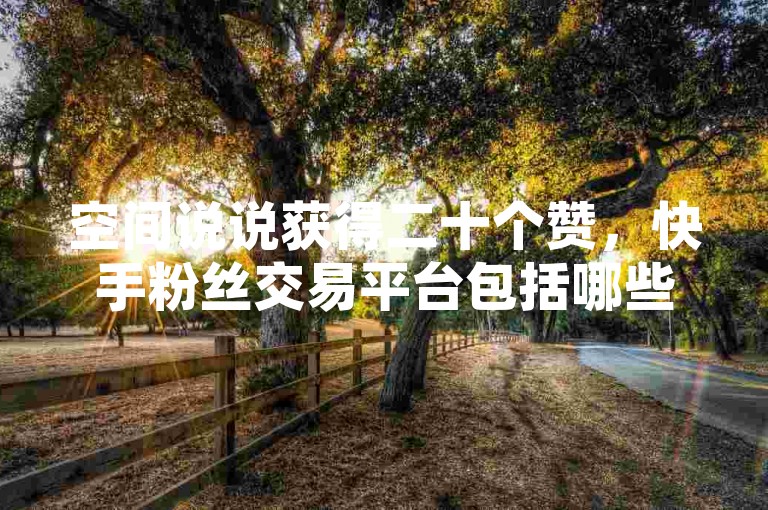 空间说说获得二十个赞，快手粉丝交易平台包括哪些？