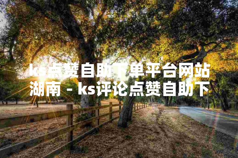 ks点赞自助下单平台网站湖南 - ks评论点赞自助下单微信，提供便捷的服务。