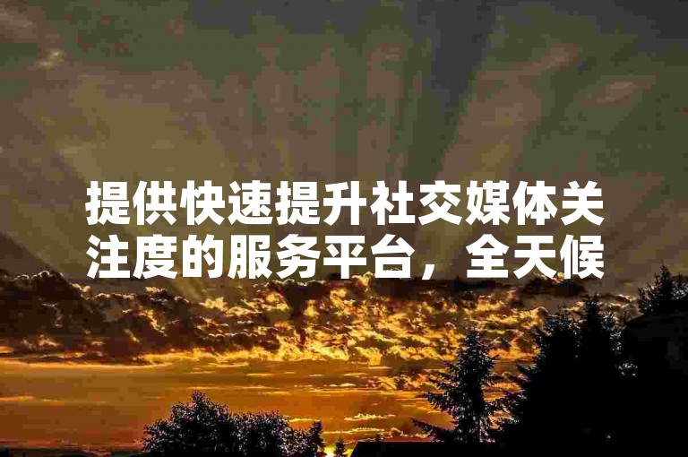 提供快速提升社交媒体关注度的服务平台，全天候自助操作，价格亲民。