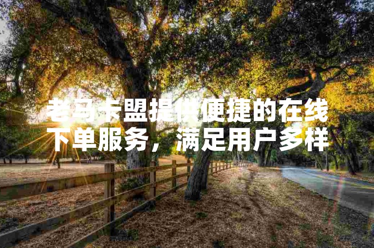 老马卡盟提供便捷的在线下单服务，满足用户多样化需求。