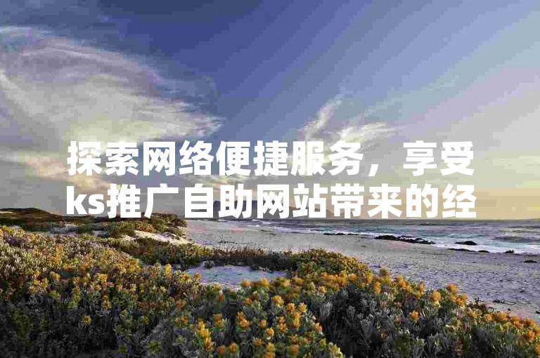 探索网络便捷服务，享受ks推广自助网站带来的经济实惠与快手秒刷的高效体验。