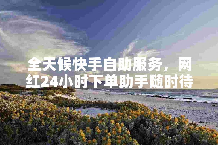 全天候快手自助服务，网红24小时下单助手随时待命。