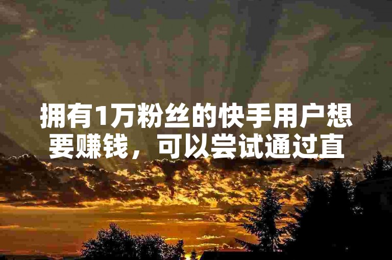 拥有1万粉丝的快手用户想要赚钱，可以尝试通过直播带货、接受品牌赞助或参与平台的广告分成计划来实现盈利。