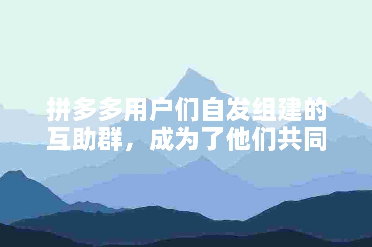 拼多多用户们自发组建的互助群，成为了他们共同参与活动、分享优惠信息的小社区。