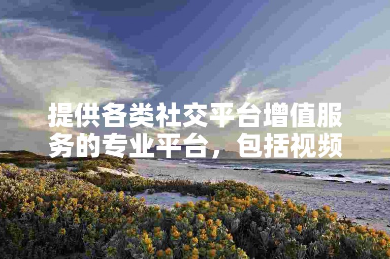 提供各类社交平台增值服务的专业平台，包括视频会员优惠充值服务、QQ业务特惠资源以及抖音快速增粉服务。
