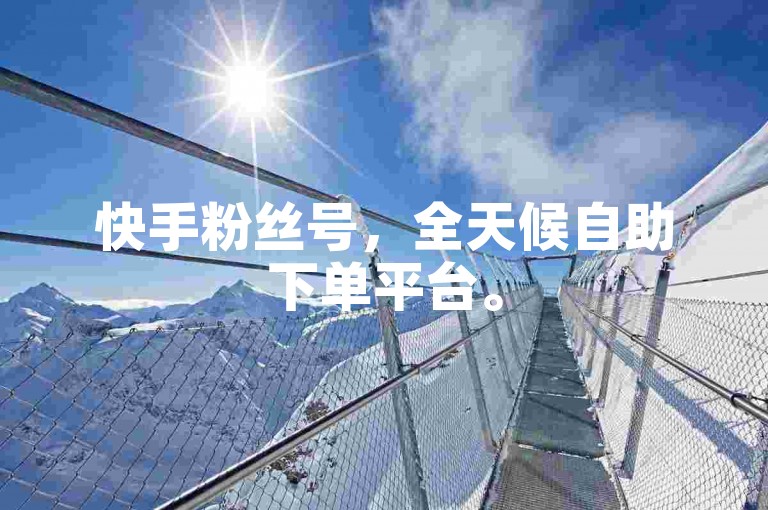 快手粉丝号，全天候自助下单平台。