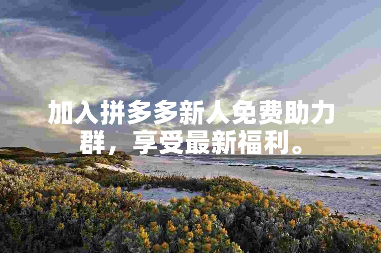 加入拼多多新人免费助力群，享受最新福利。